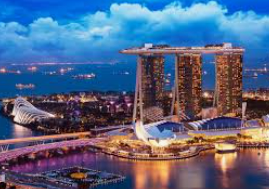 新葡萄(8883·AMG)手机版